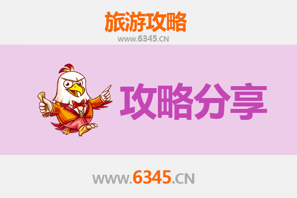 濮阳范县出发湄洲岛旅游攻略：跟团VS自由行全解析