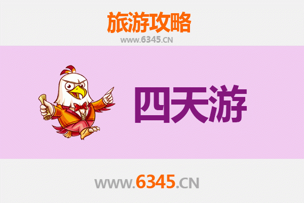 濮阳范县四天三夜深度游攻略：探索豫北文化瑰宝与自然风光