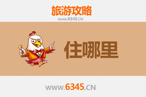 濮阳范县旅游民宿攻略：沉浸式体验中原古韵与生态之美